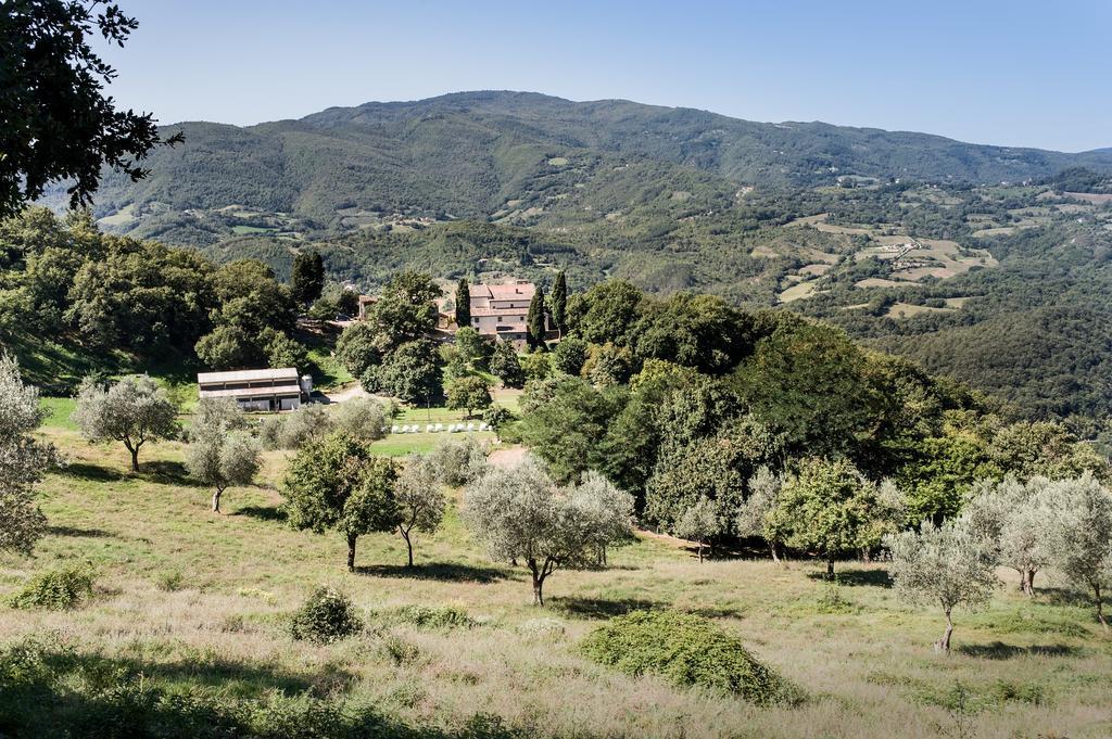 Agriturismo Di Baroni Enzo Dicomano Kültér fotó