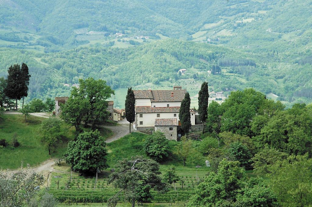 Agriturismo Di Baroni Enzo Dicomano Kültér fotó